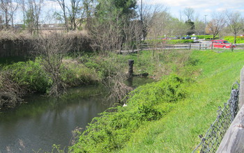 Urban landscapes change with human activities such as creation of stormwater ponds.